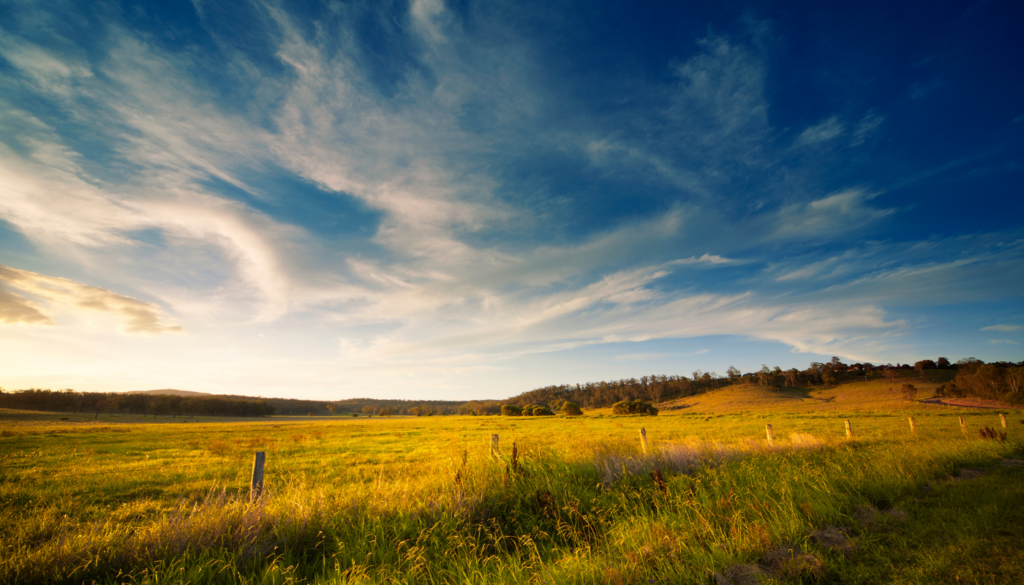 Lung Cancer and Native Americans